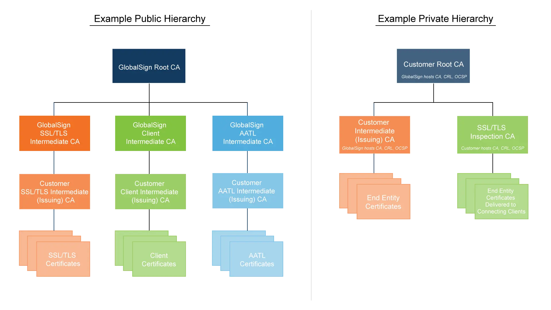 /images/dedicated-intermediates-hierarchy-examples.webp