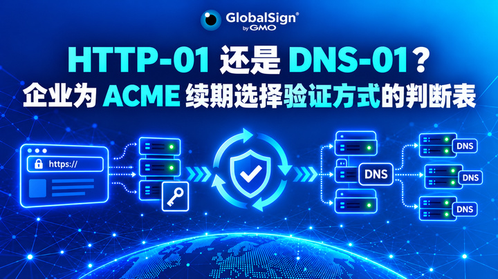 HTTP-01 还是 DNS-01？企业为 ACME 续期选择验证方式的判断表