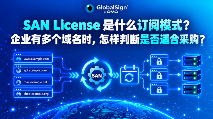SAN License 是什么订阅模式？企业有多个域名时，怎样判断是否适合采购？